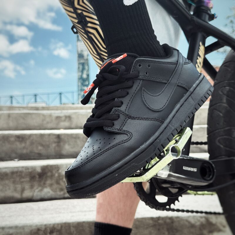 Nike Sb Dunk Low